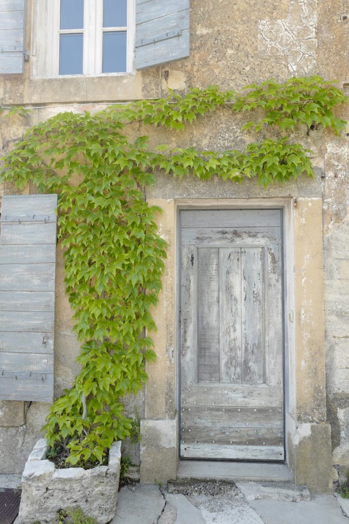 French Hardware and Front Doors