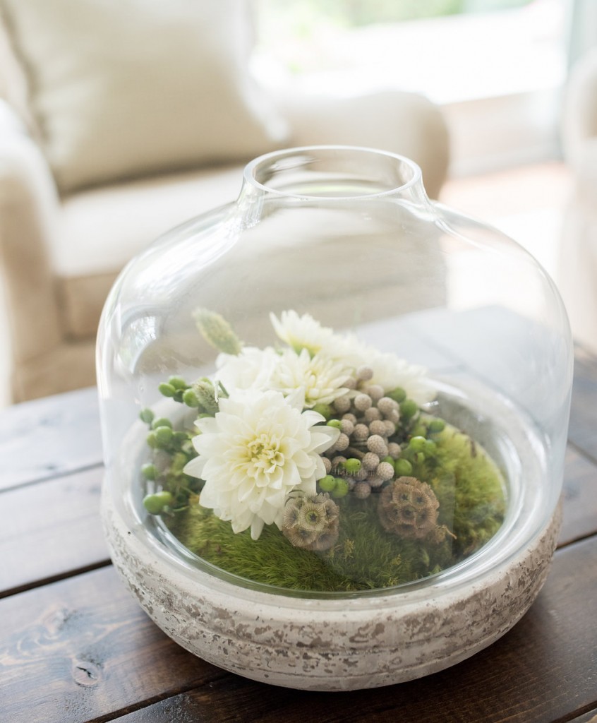 DIY Terrarium Centerpiece | Lavin Label